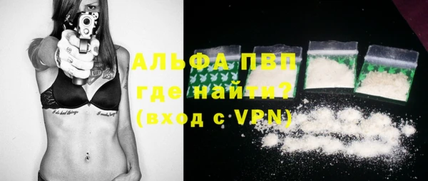 сатива Галич