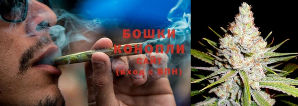 Альфа ПВП Гатчина