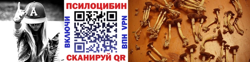 Галлюциногенные грибы Magic Shrooms  купить наркотик  Снежногорск 